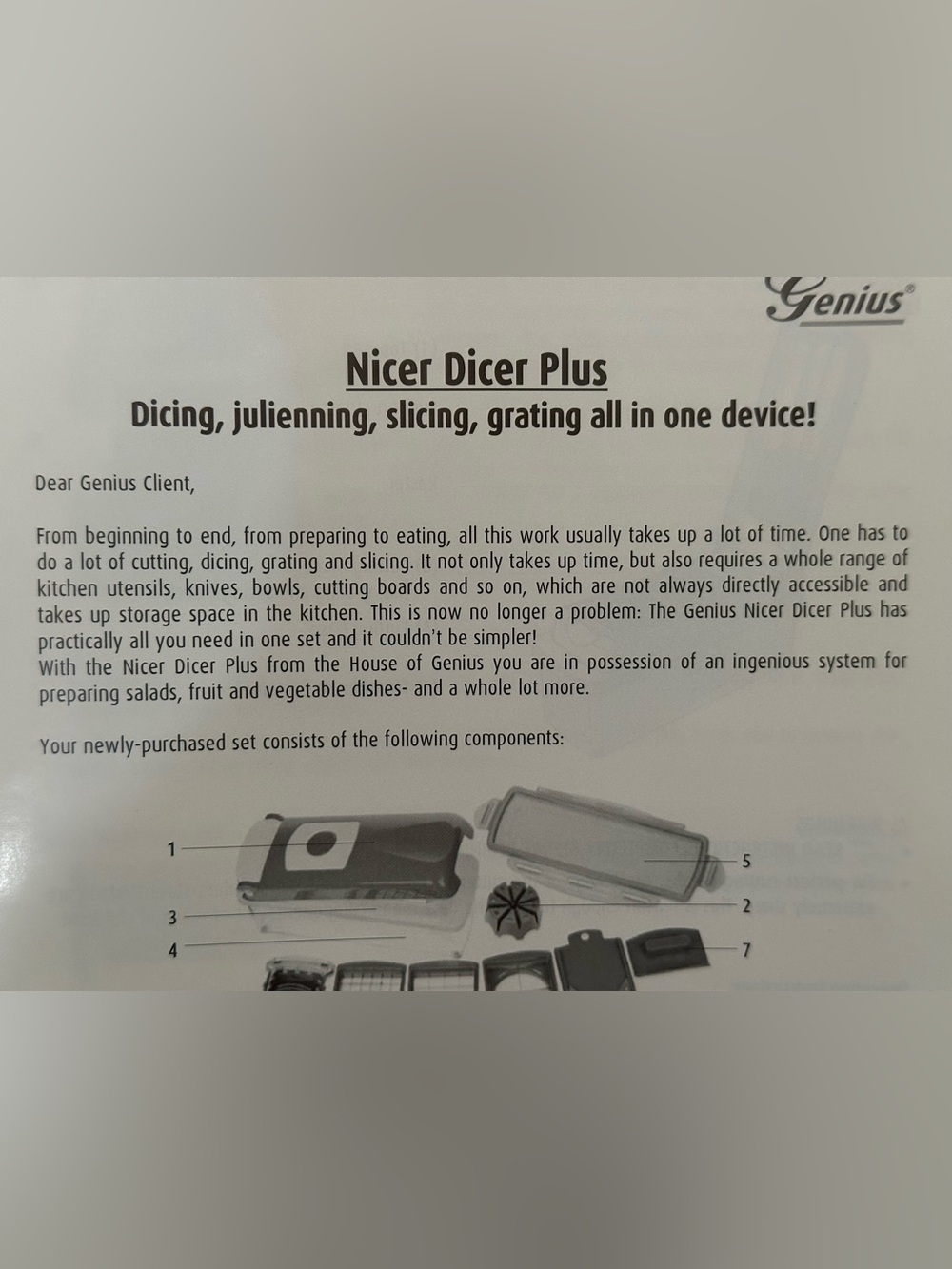 Genius Nicer Dicer Plus - Purple Kitchen Slicer